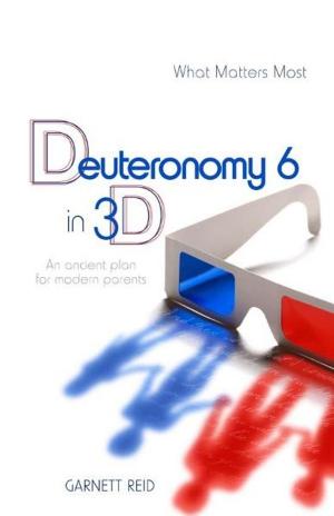 Cover of the book Deuteronome 6 en 3D by Robert E Picirilli