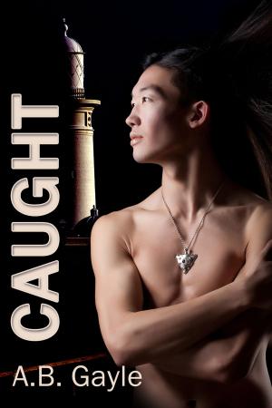 Cover of the book Caught by Amy Lane