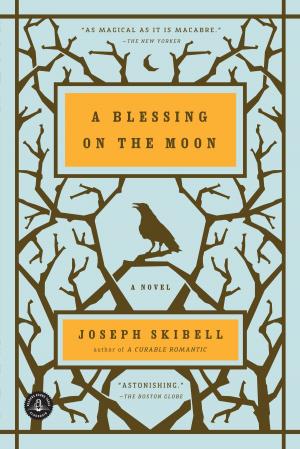 Cover of the book A Blessing on the Moon by Tim Junkin
