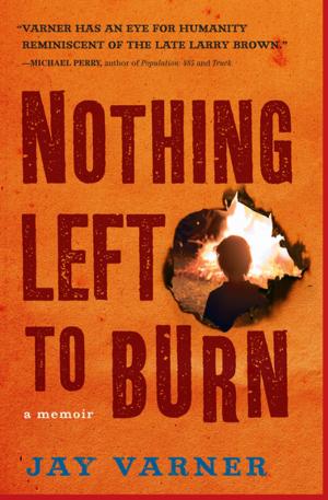 Cover of the book Nothing Left to Burn by Lauren F. Winner