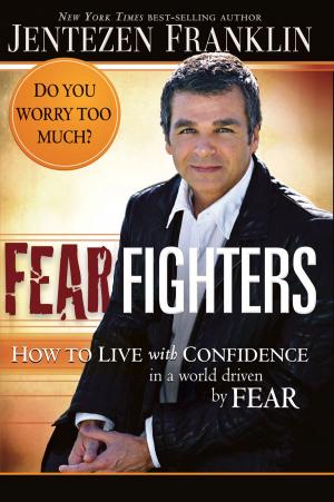 Cover of the book Fear Fighters by Todd Starnes