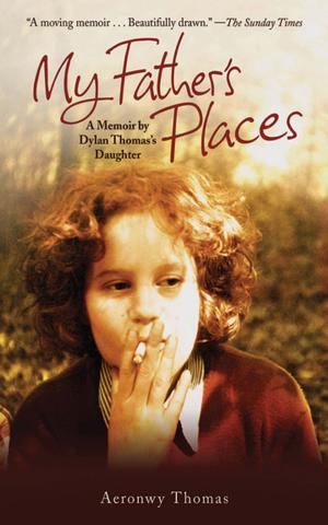 Cover of the book My Father's Places by Brian Castner