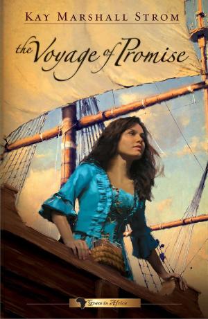 Cover of The Voyage of Promise