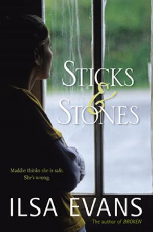 Cover of the book Sticks and Stones by Charlotte McConaghy