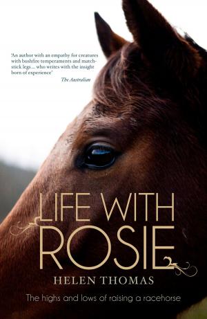 bigCover of the book Life with Rosie by 