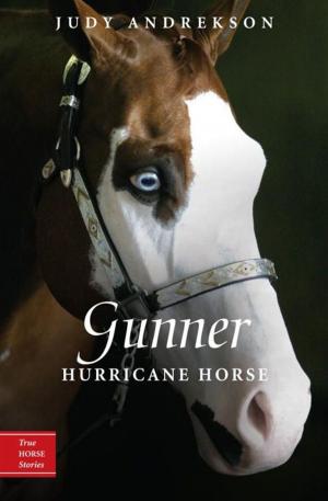 Cover of the book Gunner by Joanne Schwartz