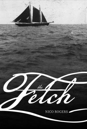 Cover of the book The Fetch by Antony Di Nardo