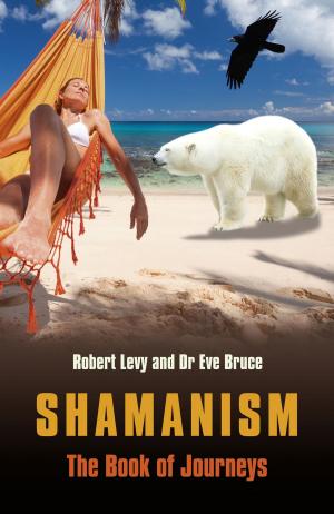 Cover of the book Shamanism: The Book of Journeys by Ron Semple