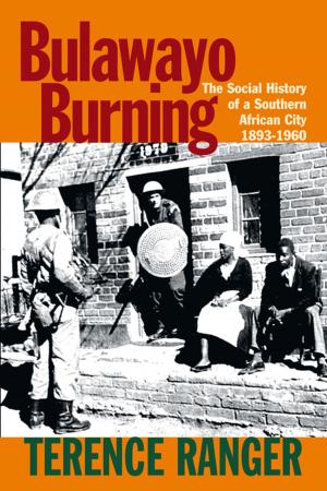 Cover of the book Bulawayo Burning by Hugo Bettauer, Peter Höyng, Chauncey J. Mellor Afterword by Kenneth R. Janken