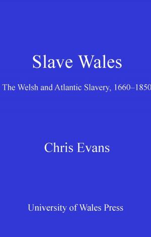 Cover of the book Slave Wales by Julia Banwell