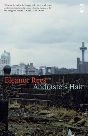 Cover of the book Andraste's Hair by Jonathan Pinnock