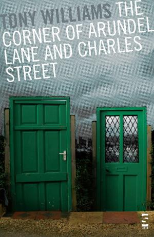 Cover of the book The Corner of Arundel Lane and Charles Street by Vanessa Gebbie