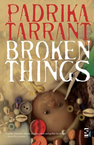 Cover of the book Broken Things by Vesna Main