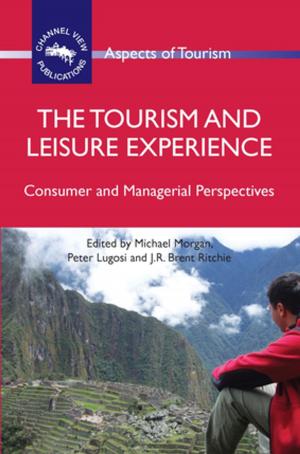 Cover of the book The Tourism and Leisure Experience by Anna LEAHY