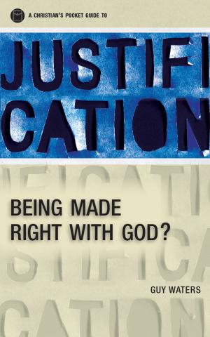 bigCover of the book A Christian's Pocket Guide to Justification by 