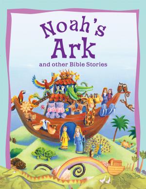 Book cover of Bible Stories: Noah's Ark
