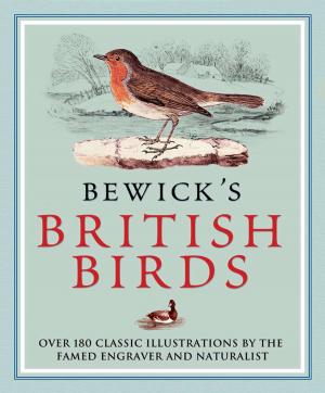 Book cover of Bewick’s British Birds