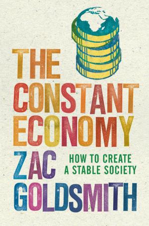 bigCover of the book Constant Economy by 