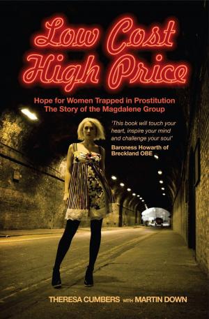 Cover of the book Low Cost High Price by Stefan Kurle