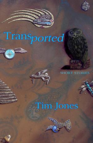 Cover of the book Transported by Shonagh Koea
