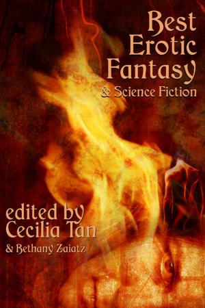 Book cover of Best Erotic Fantasy