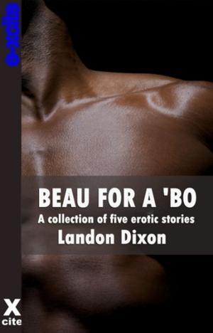 Cover of the book Beau For A Bo by Justine Elyot