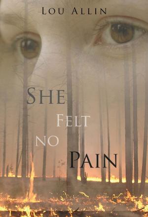 Cover of the book She Felt No Pain by Terry Boyle