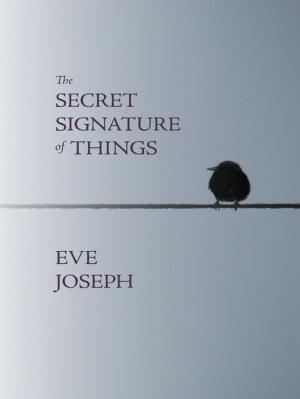 Cover of the book The Secret Signature of Things by John Steffler