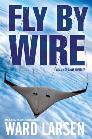 Book cover of Fly By Wire