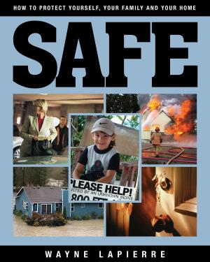 Cover of the book Safe by Nima Sanandaji