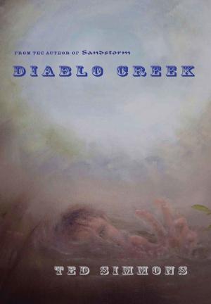Cover of the book Diablo Creek by Nathan Hipps