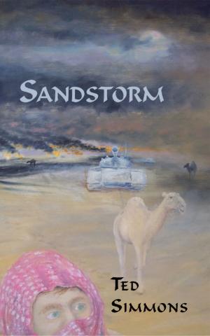 Cover of the book Sandstorm by Karen Davis