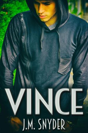 Cover of the book Vince by J.D. Ryan
