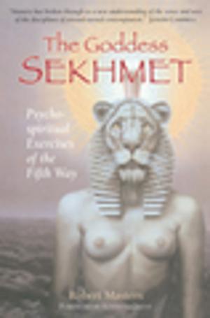 Cover of the book The Goddess Sekhmet by David Kherdian