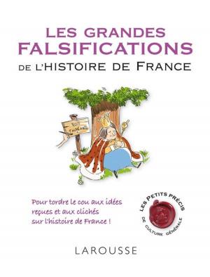 Cover of the book Les grandes falsifications de l'histoire de France by William Shakespeare