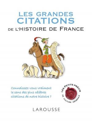 Cover of the book Les grandes citations de l'histoire de France by Bérengère Abraham