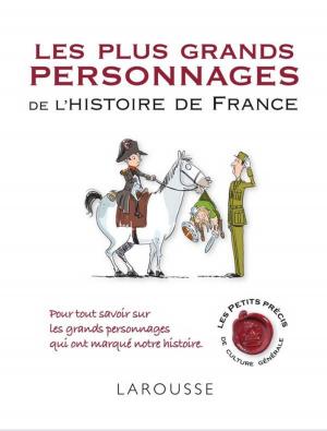 Cover of the book Les plus grands personnages de l'histoire de France by Julie Rinaldi, Christine Nougarolles, Anaïs Galon