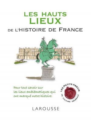 Cover of the book Les hauts lieux de l'histoire de France by Agnès de Lestrade