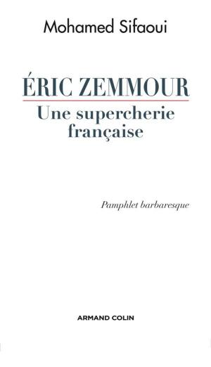 Book cover of Eric Zemmour, une supercherie française