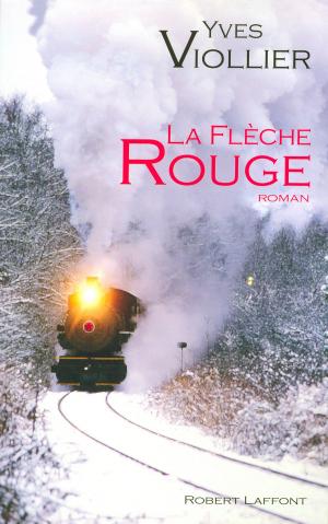 Cover of the book La Flèche rouge by Dorian MALOVIC, Juliette MORILLOT