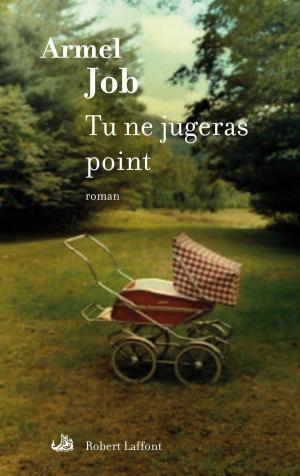 Cover of the book Tu ne jugeras point by Brice TEINTURIER