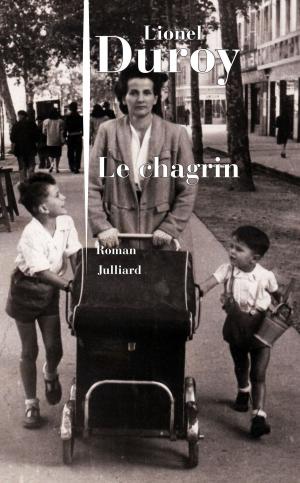 Cover of the book Le Chagrin by Jean-Paul OLLIVIER