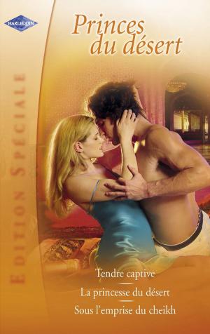 Cover of the book Princes du désert (Harlequin Edition Spéciale) by Elizabeth Bevarly