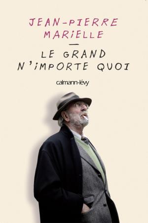 Cover of the book Le grand n'importe quoi by Patrick Breuzé