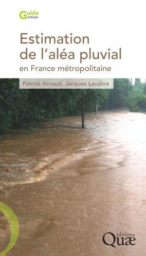 Cover of the book Estimation de l'aléa pluvial en France métropolitaine by Sylvie Morardet