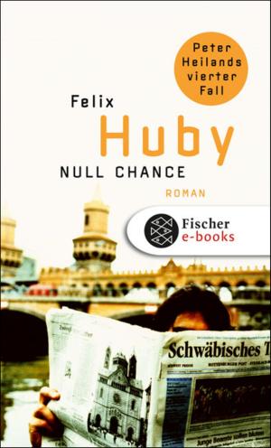Cover of the book Null Chance by Stefan Zweig