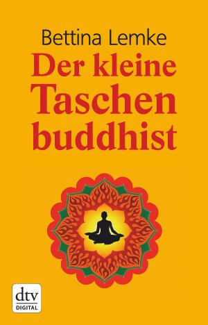 Cover of the book Der kleine Taschenbuddhist by Kevin Brooks