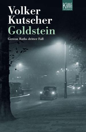 Cover of the book Goldstein by Uwe Timm