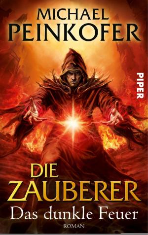 Cover of the book Die Zauberer by Jürgen Seibold