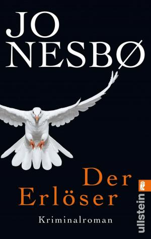 Cover of the book Der Erlöser by Sebastian Schlösser